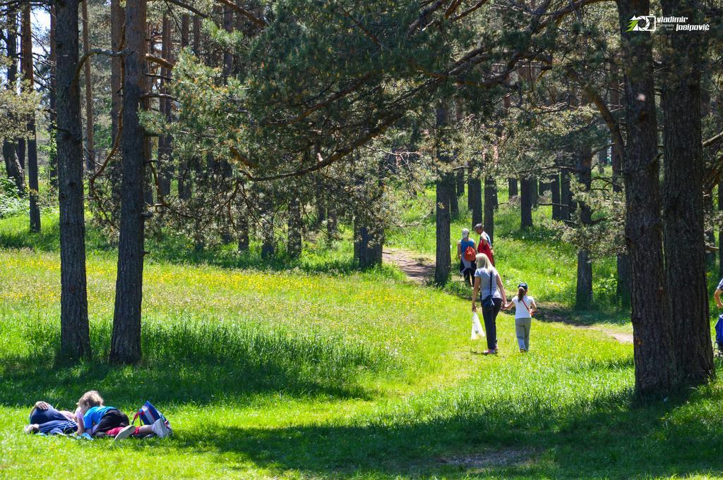 Apartments Josipovic Zlatibor Kültér fotó