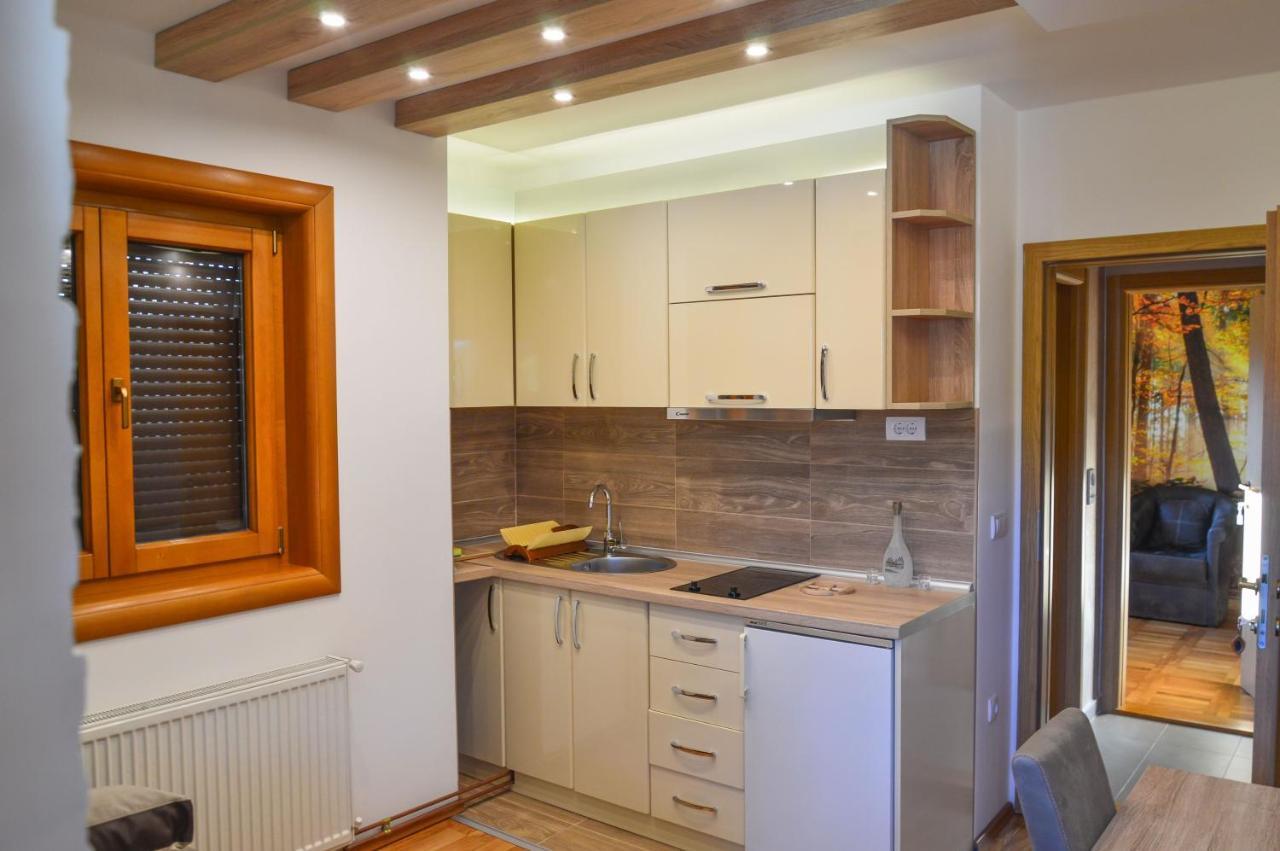 Apartments Josipovic Zlatibor Kültér fotó